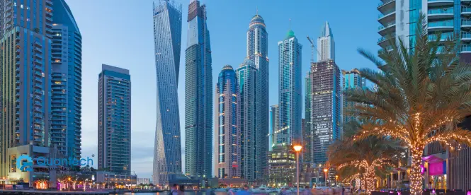 Mechanical Seal Type Pdf